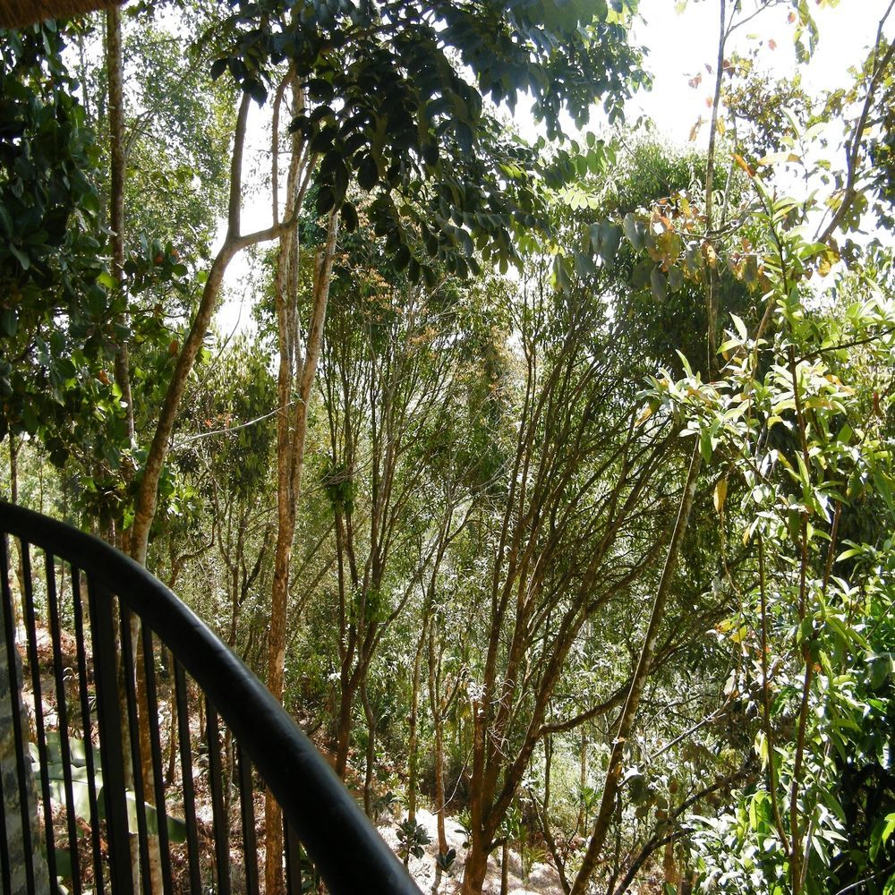 Poetree Thekkady Hotel Exterior photo